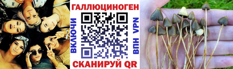 даркнет наркотические препараты  Батайск  Псилоцибиновые грибы ЛСД 