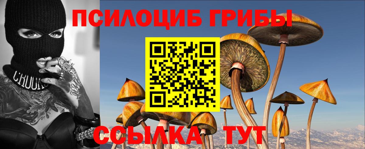 Псилоцибиновые грибы Psilocybe  Галлюциногенные грибы мицелий  Вход с VPN  закладки  Батайск 
